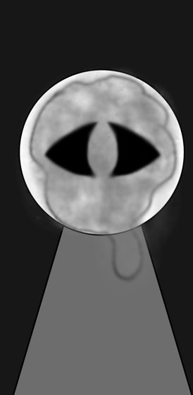 Cabeza pálida con un solo ojo, cuerpo apenas insinuado, en grises.