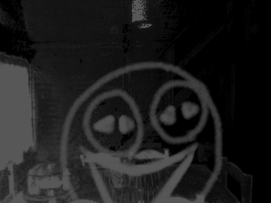 La misma foto con una cara sonriente dibujada encima en blanco.