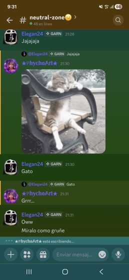 Captura de #neutral-zone con una foto de un gato y comentarios.