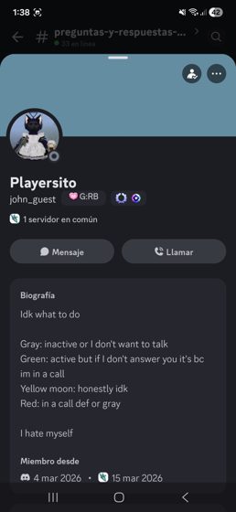 Captura del perfil de Playersito, con una biografía sobre su disponibilidad por colores.